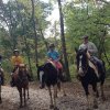 2017 Horseback Riding